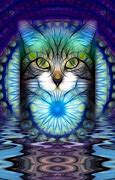 Image result for Trippy Halloween Cat