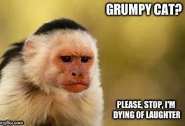 Image result for Dying of Laughter Meme