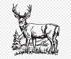 Image result for Hunting Simple Wallpaper Black and White
