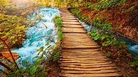 Image result for Beautiful Nature iPhone Wallpaper HD