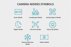 Image result for iPhone Reverse Camera Symbol