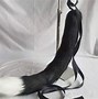Image result for Black Cat Ears and Tail