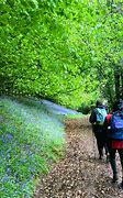 Image result for Brecon Beacons Hikes