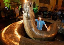 Image result for The Biggest Snake in the World
