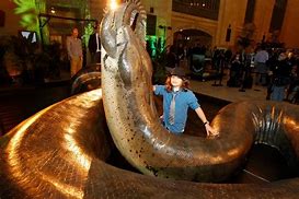 Image result for World's Largest Snake Ever Recorded