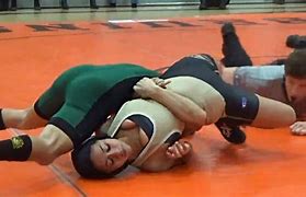 Image result for Wrestling Pinning Moves