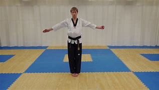 Image result for 1st Dan Black Belt MF Material Arts