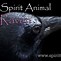 Image result for Raven-Spirit