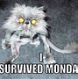 Image result for Monday Morning Brain