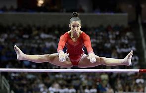 Image result for Aly Raisman Siblings