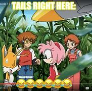 Image result for Tails Taxidermy Meme