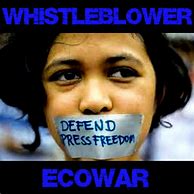 Image result for Whistleblower Vinman