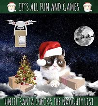 Image result for Merry Christmas Grumpy Cat Meme