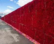 Image result for world records flowers bouquets