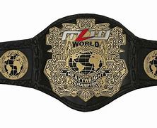 Image result for RWW Wrestling Belts