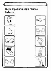 Image result for 5 Senses Kindergarten Unit