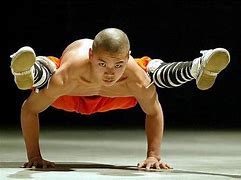 Image result for Shaolin Kung Fu Stances