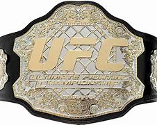Image result for UFC Championship Belt