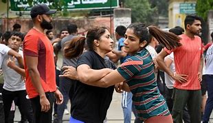 Image result for Indian Wrestlers Body
