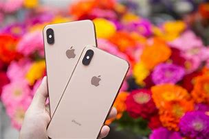 Image result for iPhone XS Max 256 EarPods