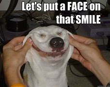 Image result for Funny Dog Smiling Meme