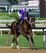 Image result for Horse New York Thunder Injury at Saratoga Race Track