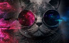 Image result for Cosmic Cat in Glasses