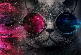 Image result for Galaxy Cat Collage
