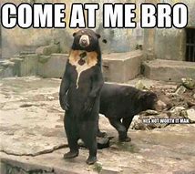 Image result for Boneless Bear Meme