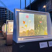 Image result for Outside Exhibition