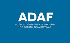 Image result for adafme