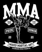 Image result for Mixed Martial Arts