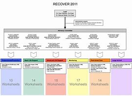 Image result for Recover Flow Chart CPR Veterinary