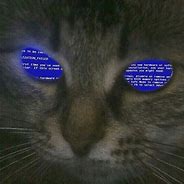 Image result for Cat with Headphones Meme