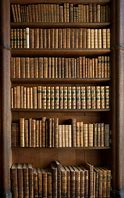 Image result for Spine Bookshelf