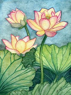 Lotus No. 5 Lotus Flowers Watercolor Painting Fine Art - Etsy Canada | Flower art painting, Lotus flower painting, Lotus painting