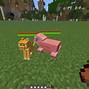 Image result for Battle Pets Mod