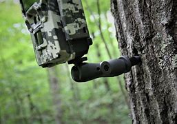 Image result for Camera Tree Mount
