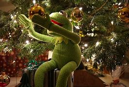 Image result for Kermit the Frog Christmas Handsom