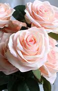 Image result for Blush Fake Roses