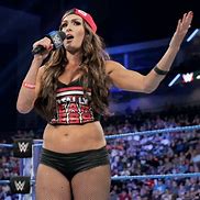 Image result for Nikki Bella WWE Uniform