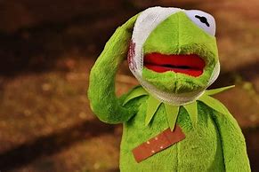 Image result for Kermit Hurt