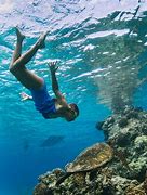 Image result for Snorkeling Big Island Hawaii