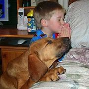 Image result for Praying Over a Dog