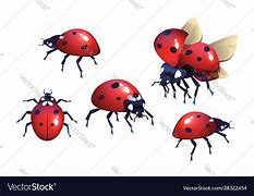 Image result for Bug with Red Dot Clip Art