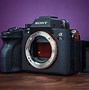 Image result for Sony a7s Low Light