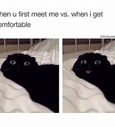 Image result for Grammar Cat Meme