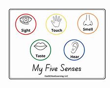 Image result for Five Senses Pre-K