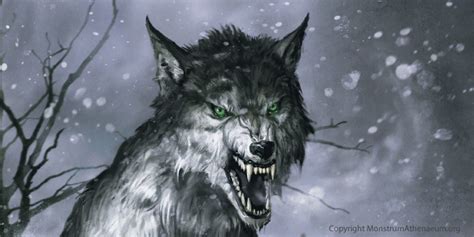 Green Eyed Wolf