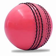 Image result for Pink Synthetic Ball